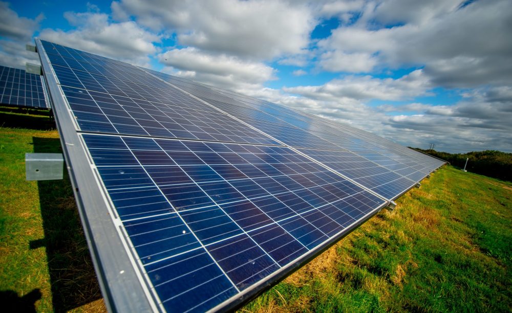 Darren Cool - 07792308722 - www.dcoolimages.com Darren Cool - 07792308722 - www.dcoolimages.com